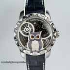Owl Automatic New Watch Luminous Dial Lucky Harvey