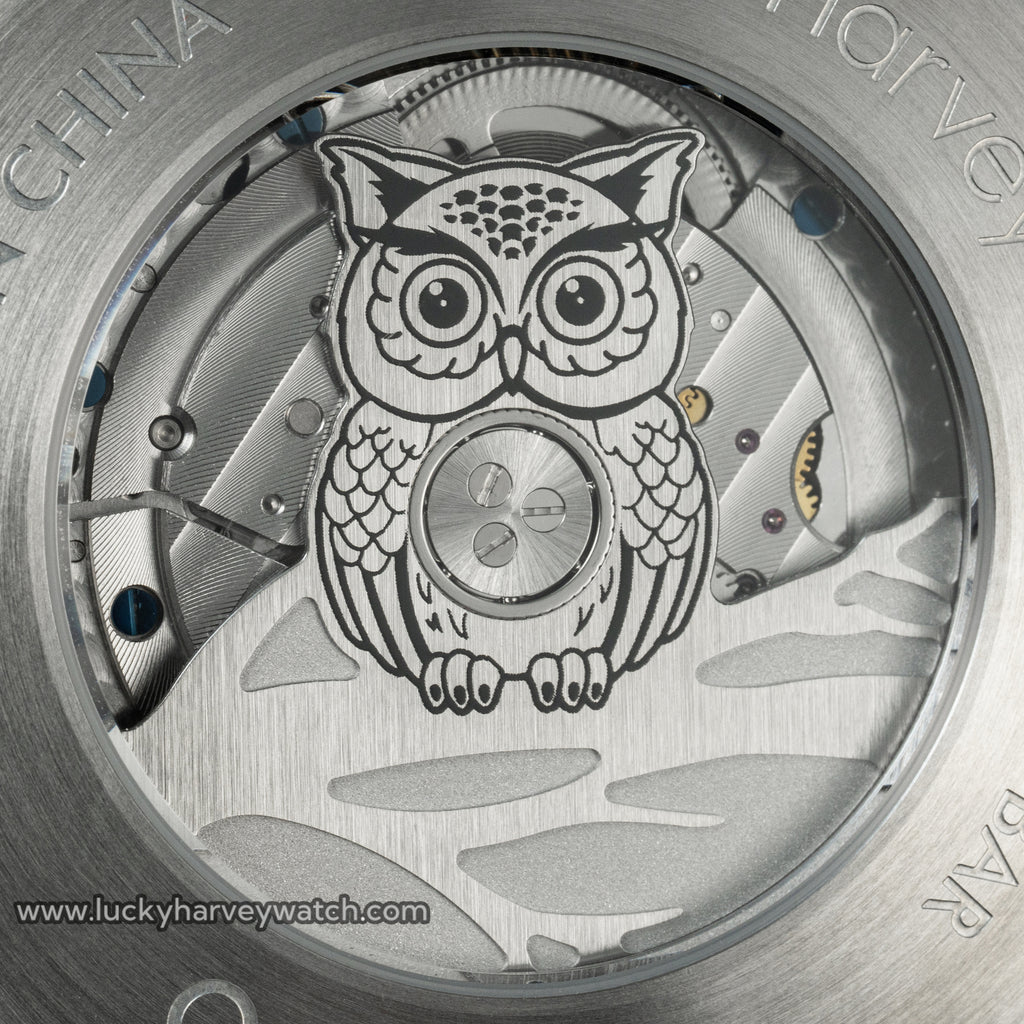 Owl Automatic New Watch Luminous Dial Lucky Harvey