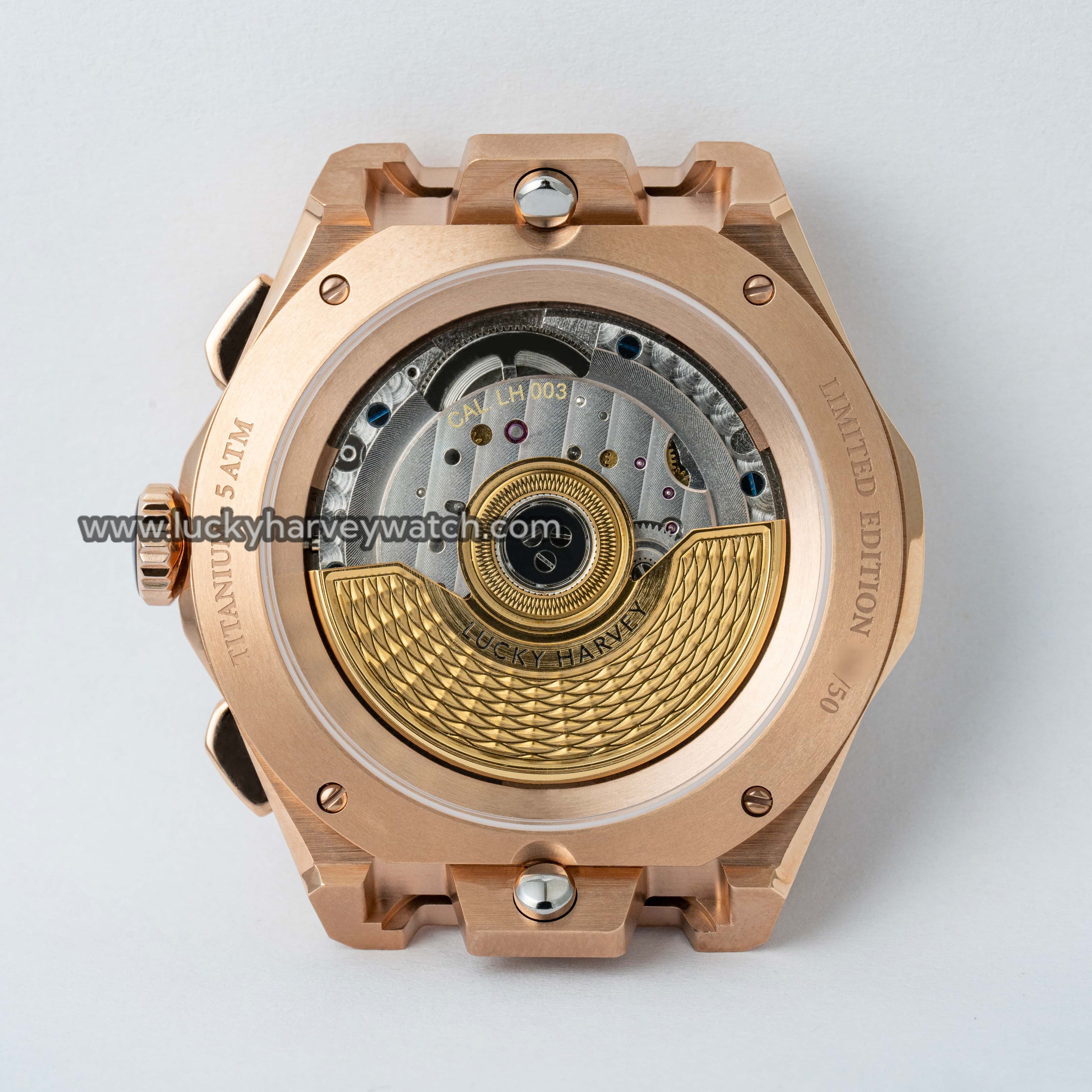 Lucky Harvey Meteorite Watch Rose Gold Case Back